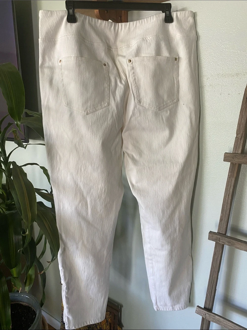 Belle by Kim Gravel Cream pants with Gold Logo Detail